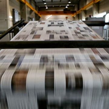 Le notizie dal mondo e la dinamica del pitbull Le notizie dal mondo e la dinamica del pitbull