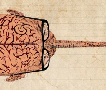 Falsità alle audizioni del DDL 735: uno scandalo rivelatore