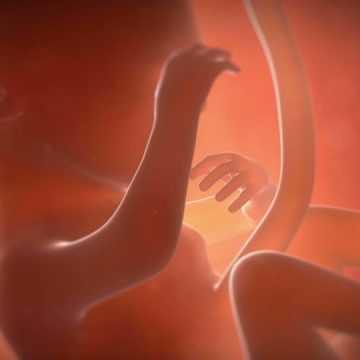 Divieto di aborto: le ragioni dell’Alabama Divieto di aborto: le ragioni dell’Alabama