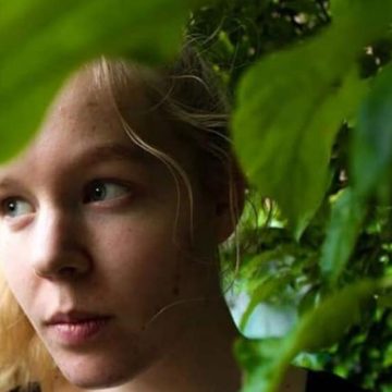 Gli sciacalli ballano sulla fragile vita di Noah Gli sciacalli ballano sulla fragile vita di Noah