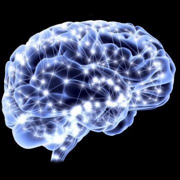 Affidi in Val D’Enza: elettroshock ministeriale o no? Affidi in Val D’Enza: elettroshock ministeriale o no?