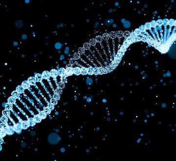 La storia di Alessio (seconda puntata)