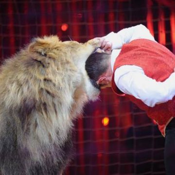 Donne che giocano con il leone (e perdono i figli)