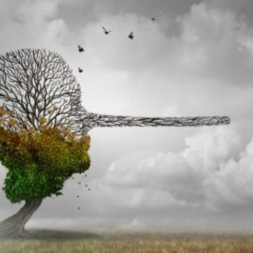 Violenze e lockdown: il Sole24Ore e ISTAT giocano con dati farlocchi?