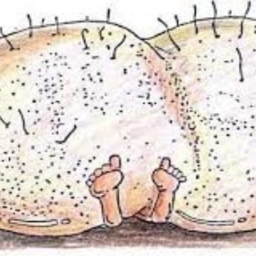 Francesca Puglisi sul pulpito (senza valido motivo) Francesca Puglisi sul pulpito (senza valido motivo)